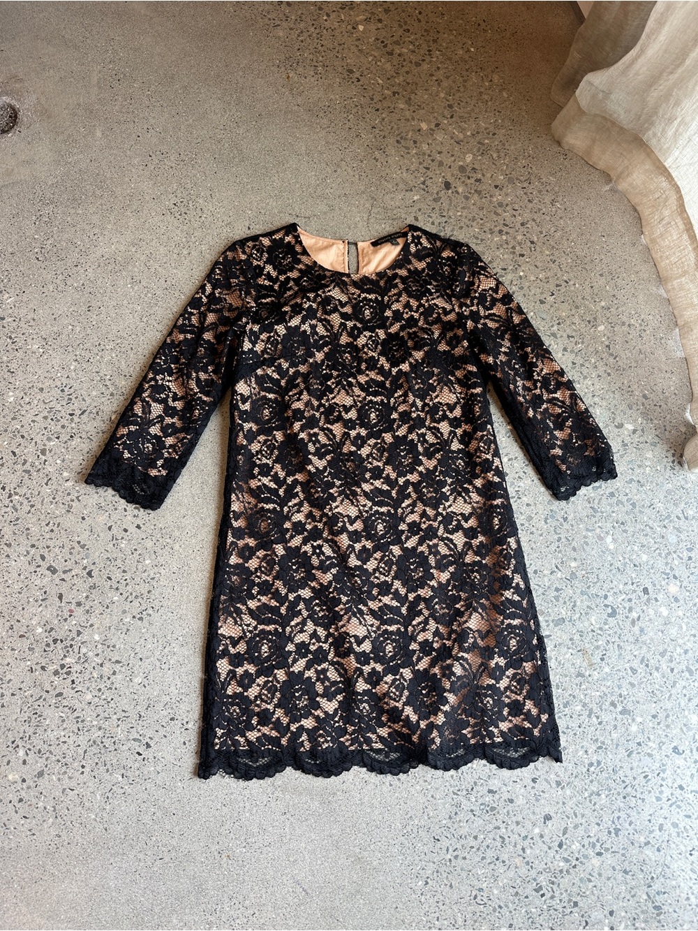 Cynthia Steffe Black Floral Lace Dress with Nude Lining